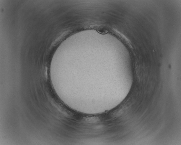 X0000067520067200604281644