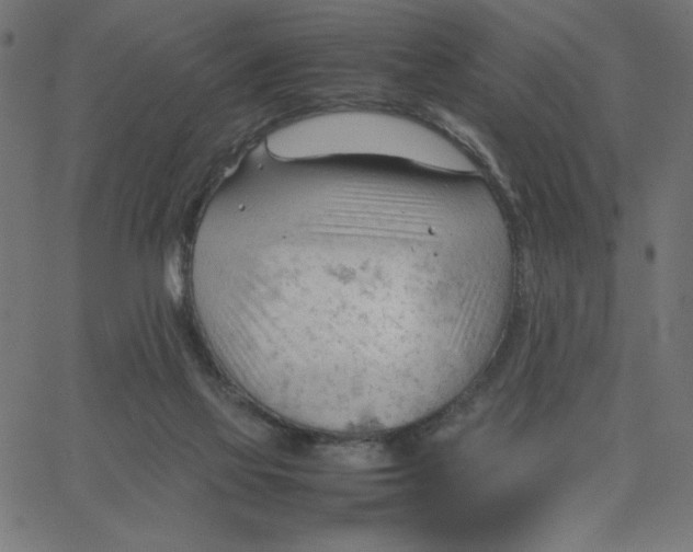 X0000067520069200604281644