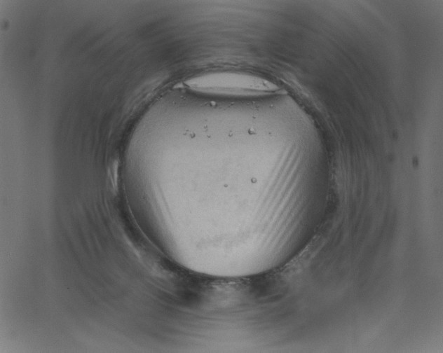 X0000067520070200604281644