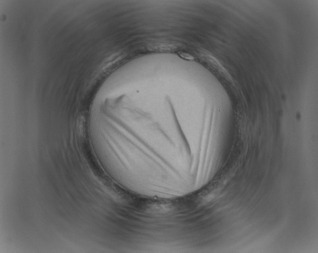 X0000067520071200604281644