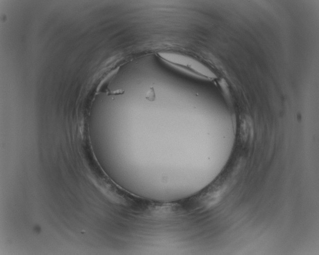 X0000067520072200604281645