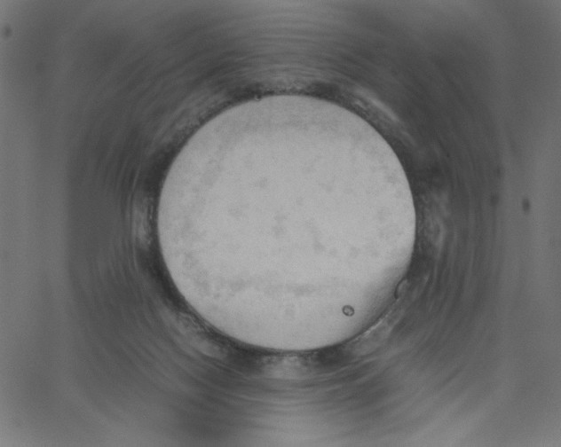 X0000067520074200604281645