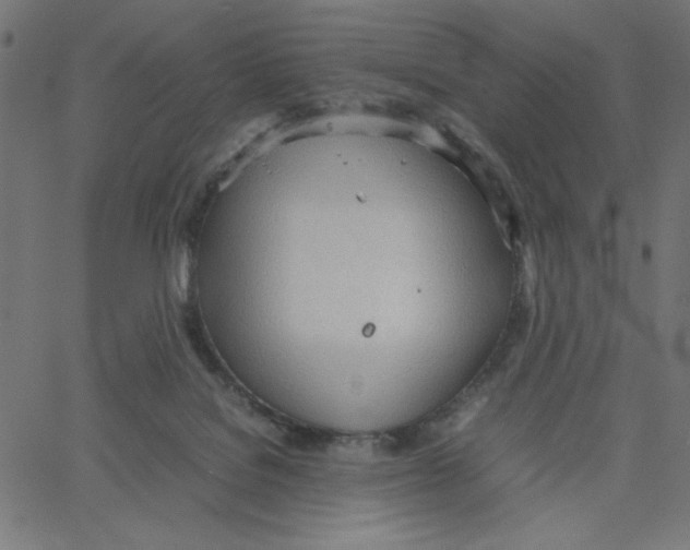 X0000067520076200604281645