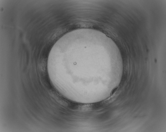 X0000067520078200604281645