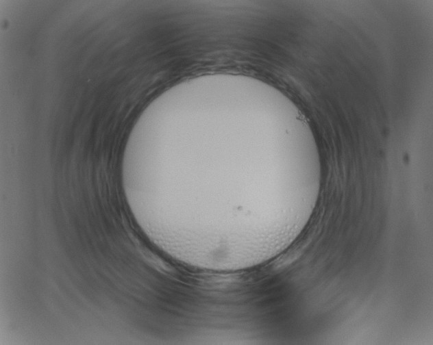 X0000067520081200604281645