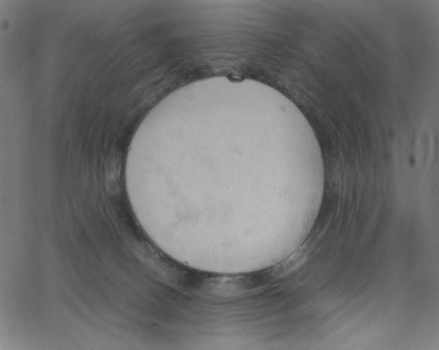 X0000067520082200604281645