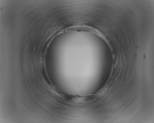 X0000067520084200604281645