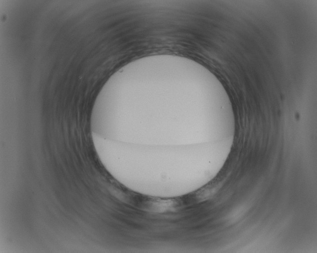 X0000067520085200604281645