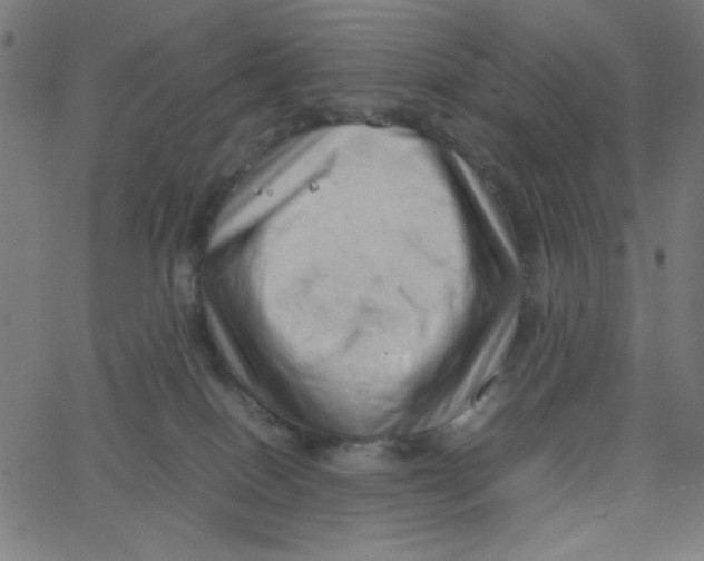 X0000067520086200604281645