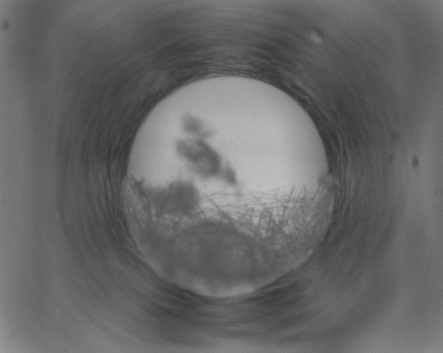 X0000067520087200604281645