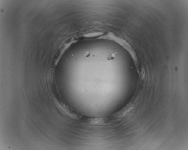 X0000067520088200604281645