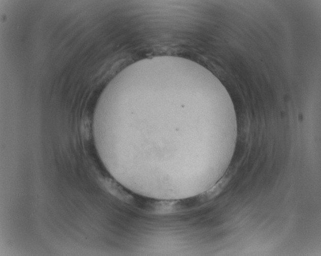 X0000067520090200604281645