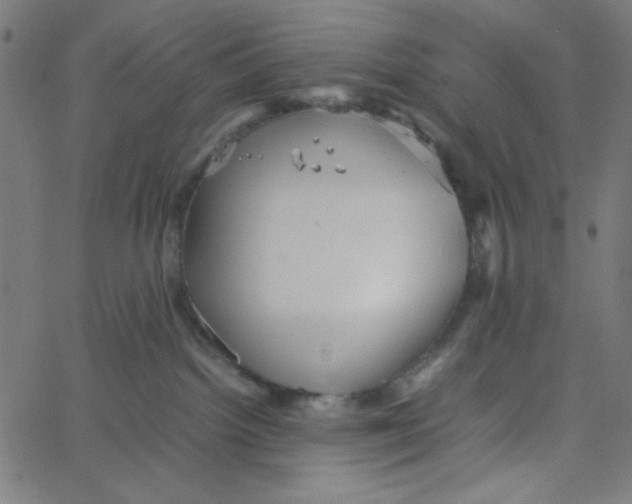 X0000067520092200604281645