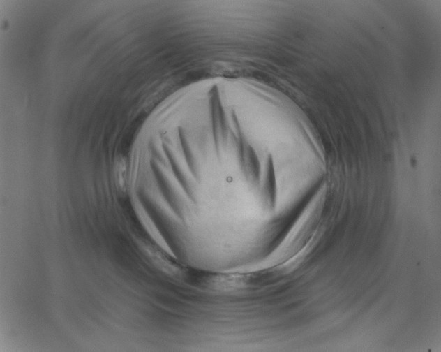 X0000067520094200604281645