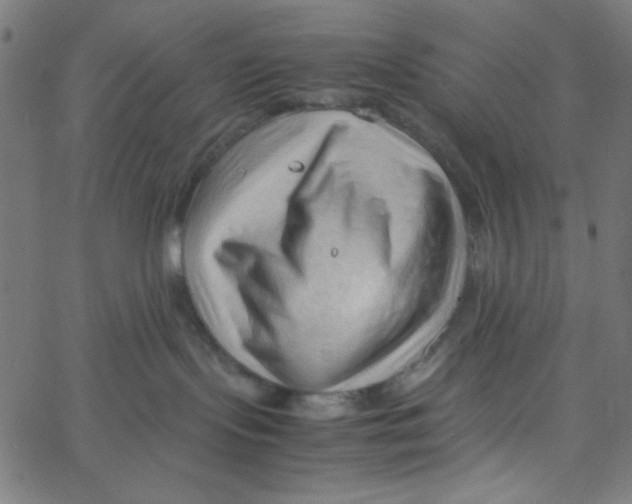 X0000067520095200604281645