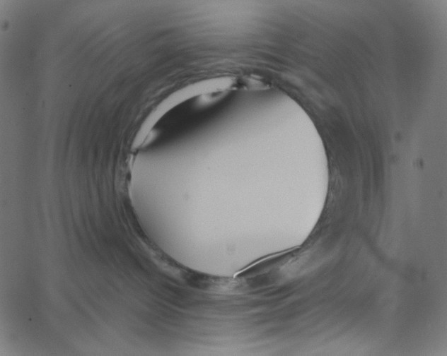 X0000067520096200604281645