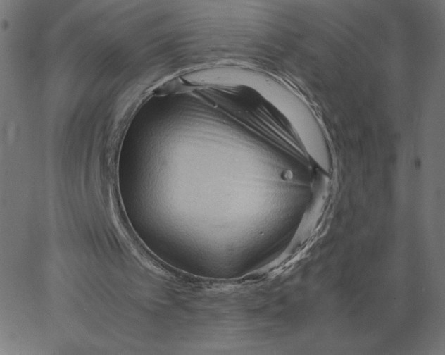 X0000067520097200604281644