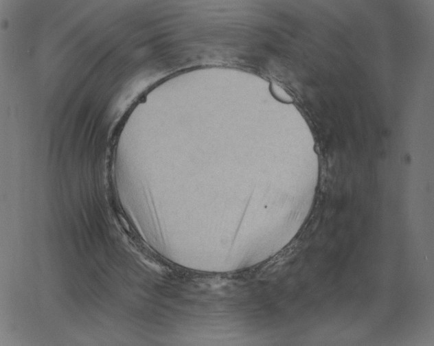 X0000067520098200604281644