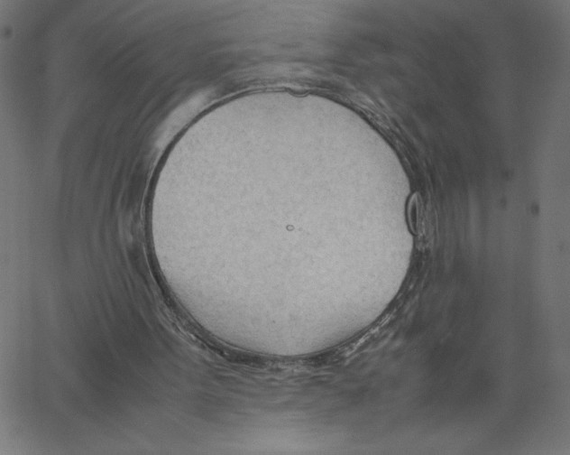 X0000067520099200604281644