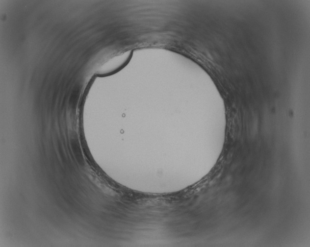 X0000067520100200604281644