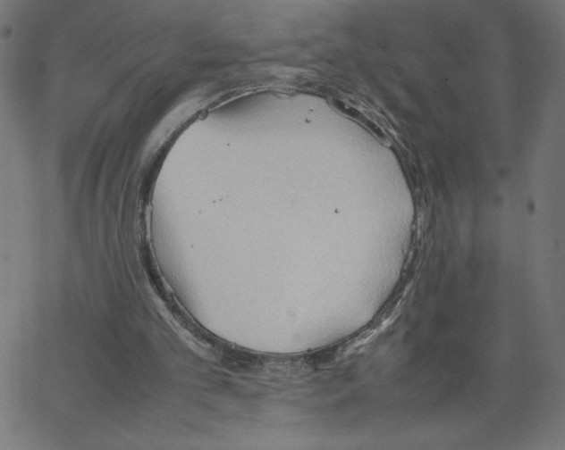 X0000067520101200604281644