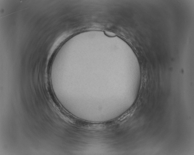 X0000067520102200604281644