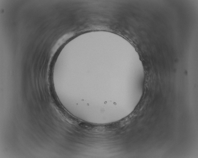 X0000067520104200604281644