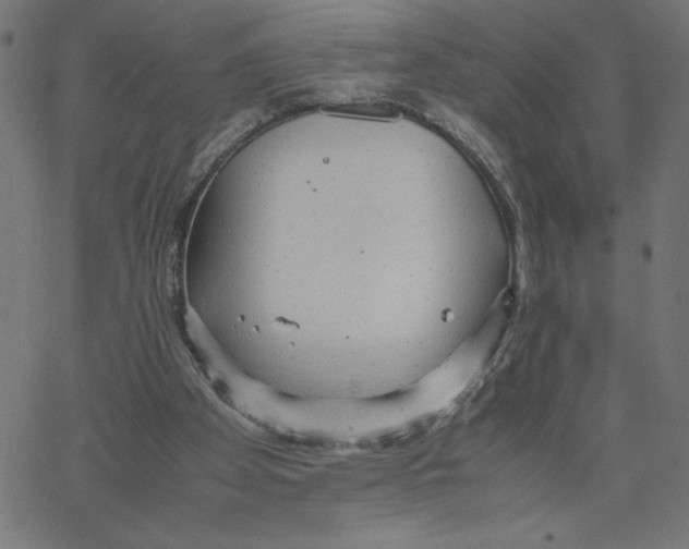 X0000067520105200604281644