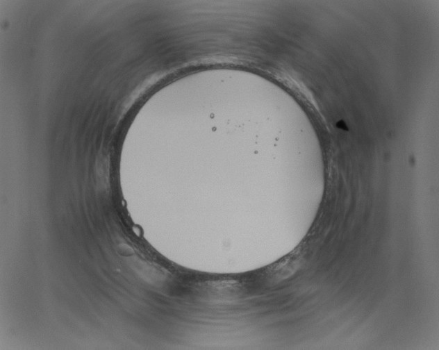 X0000067520108200604281644