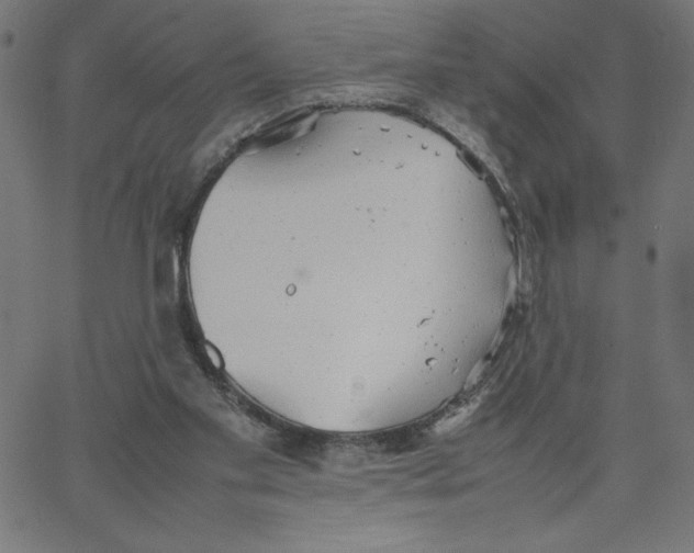 X0000067520109200604281644