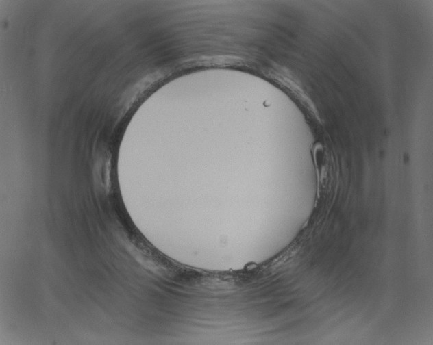 X0000067520110200604281644