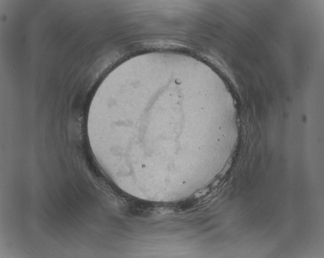 X0000067520111200604281644