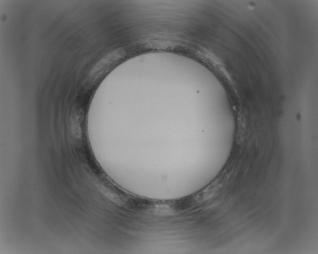 X0000067520114200604281644