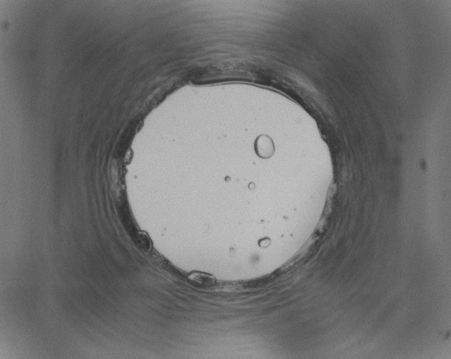 X0000067520121200604281644