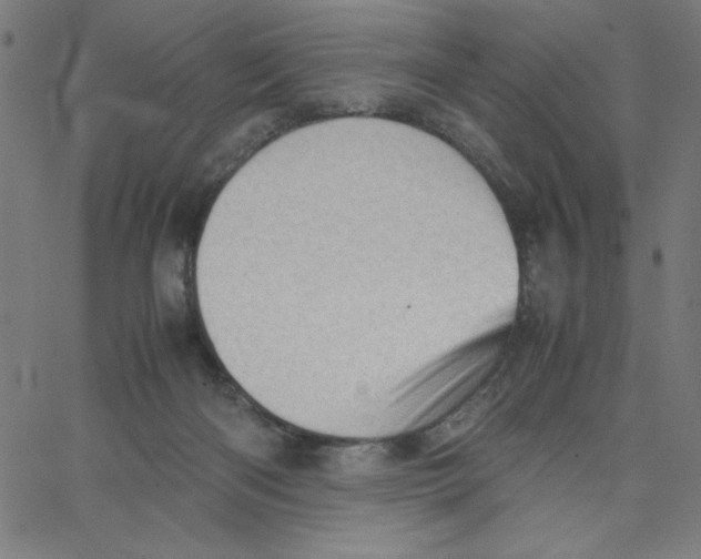 X0000067520122200604281644