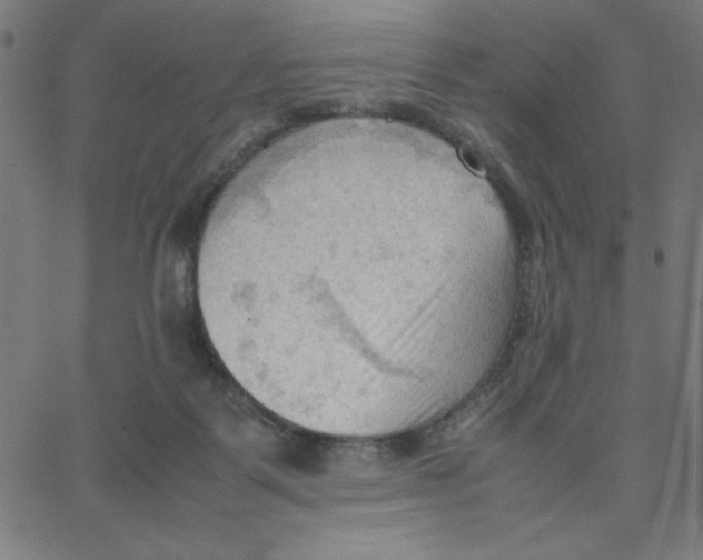 X0000067520123200604281644