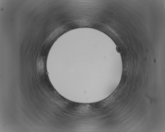 X0000067520124200604281644