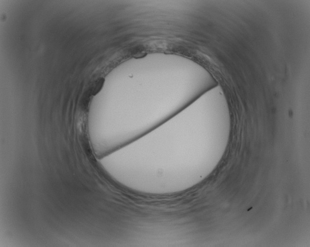 X0000067520125200604281644