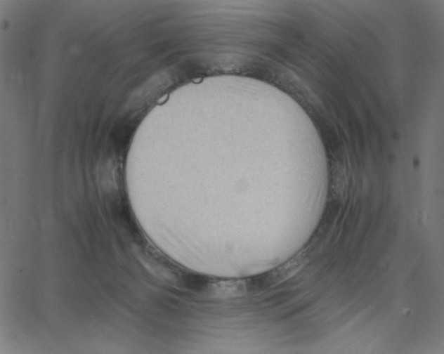 X0000067520126200604281644