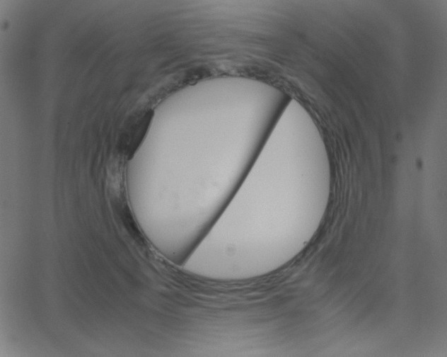 X0000067520129200604281644