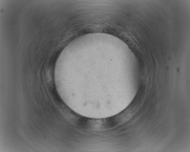 X0000067520131200604281644