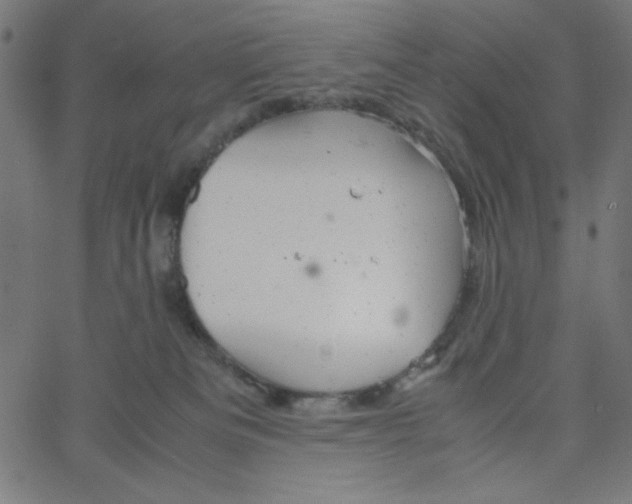 X0000067520133200604281644