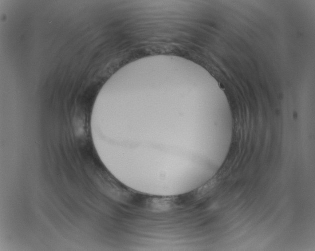 X0000067520134200604281644