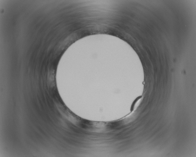 X0000067520144200604281643