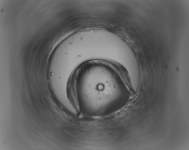 X0000067520146200604281643