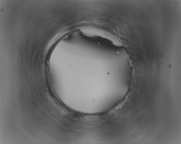 X0000067520150200604281643