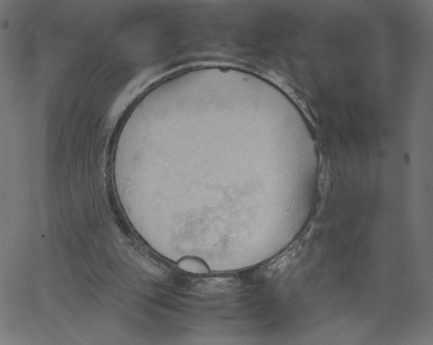 X0000067520151200604281643