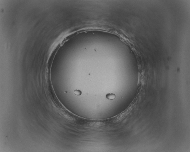 X0000067520152200604281643