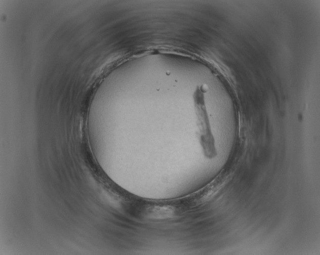 X0000067520157200604281643