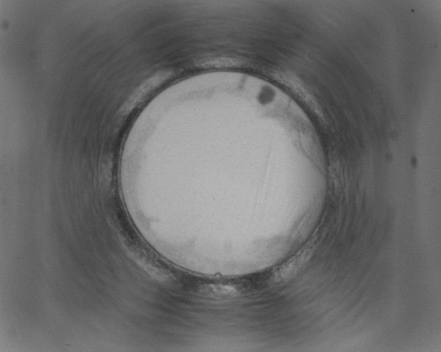 X0000067520159200604281643